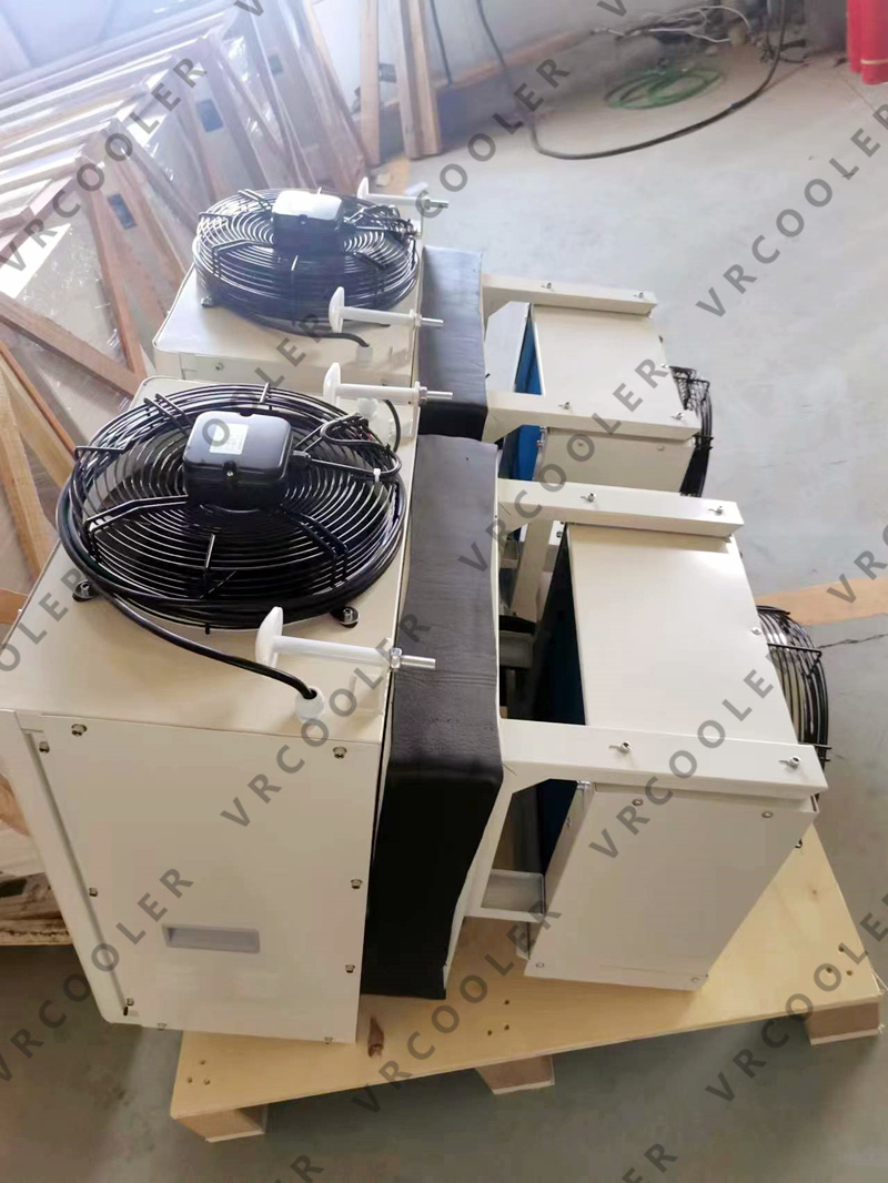 Monoblock Unit for Cold Room To Store Ice Cream