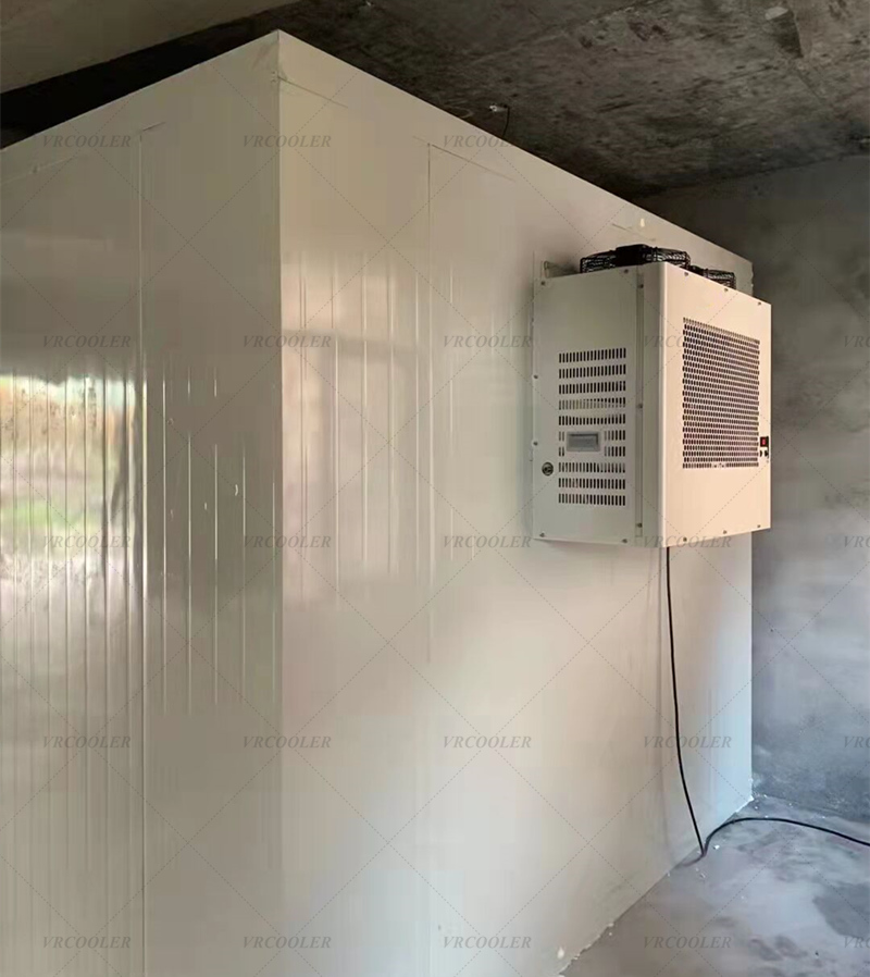 Integrated Cold Storage Units for Food Preservation And Low-temperature Refrigeration