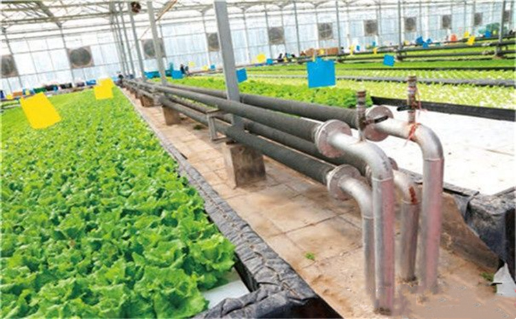Finned Tube Heat Exchanger For Greenhouse