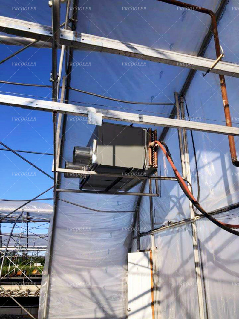 Crac Unit for Agricultural Greenhouse 