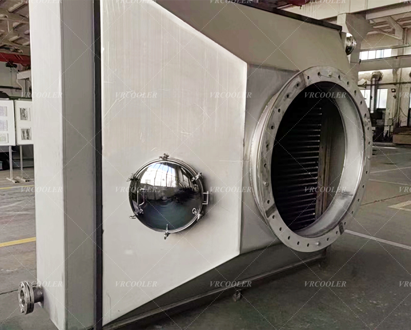 Thermal Expansion Structure Economizer for Petrochemical Industry 