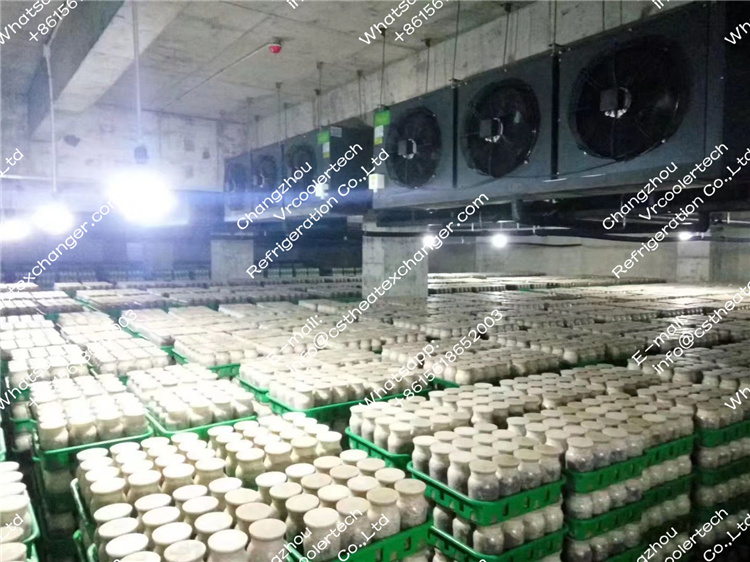 Mushroom Air Cooler Feedback Picture