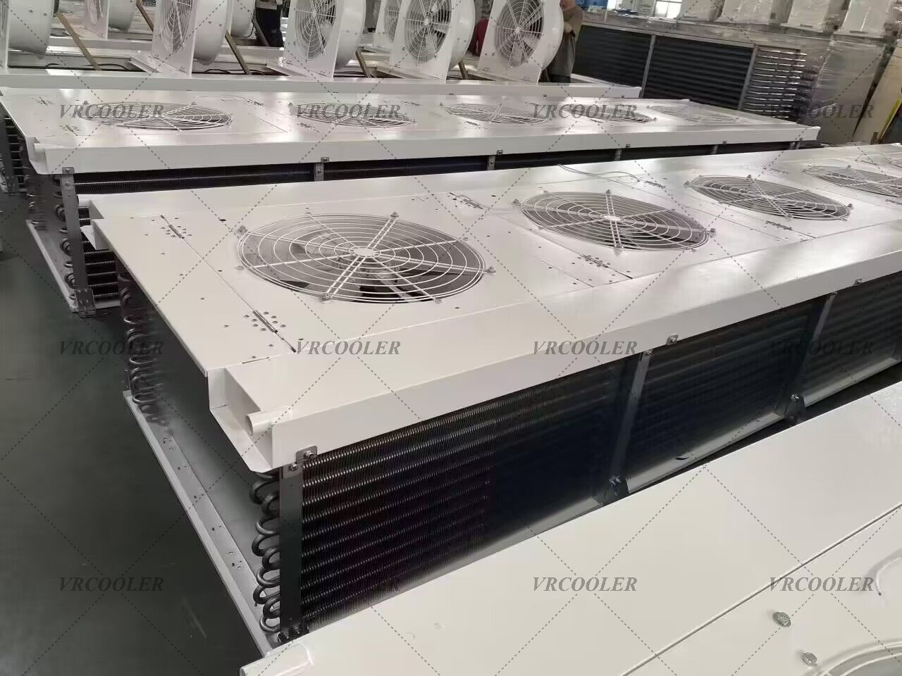 How Energy Efficiency Is Optimized in Avocado Ripening Coolers