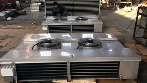 Stainless Steel Unit Air Cooler.jpg