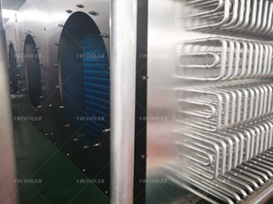 IQF Evaporator for Seafood.jpg