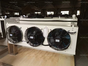 How to Choose the Right Cold Room Monoblock Unit for Restaurant or Supermarket Walk-in Cooler.jpg