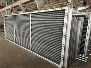Finned Tube Radiator for Power Plant Heating.jpg