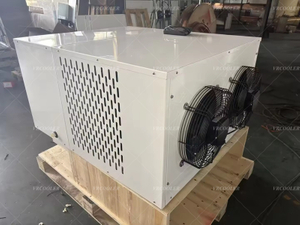 Industrial Plug-and-Play Refrigeration Unit For Cold Rooms.jpg