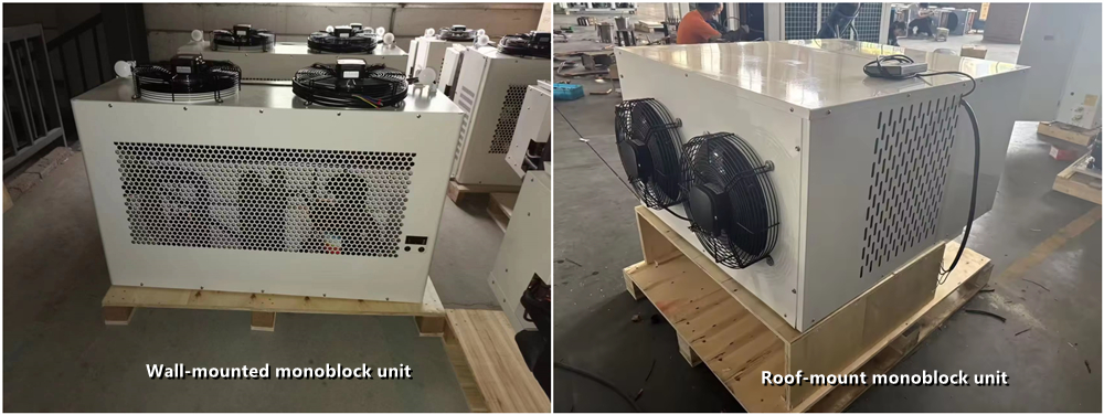 Wall-mounted and Roof-mount monoblock unit.jpg