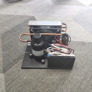 DC Refrigeration Compressor Refrigeration Unit R404 for Electric Vehicle.jpg