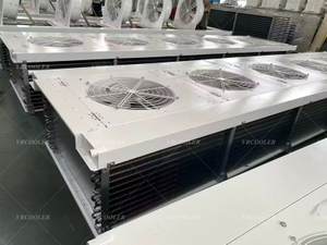 Epoxy coated coil Ripening evaporator for corrosive environment.jpg
